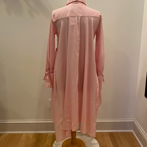 Zara Womens Pink Tunic with High Low Asymmetrical Hemline W Drawstring / S / NWT - Picture 4 of 16